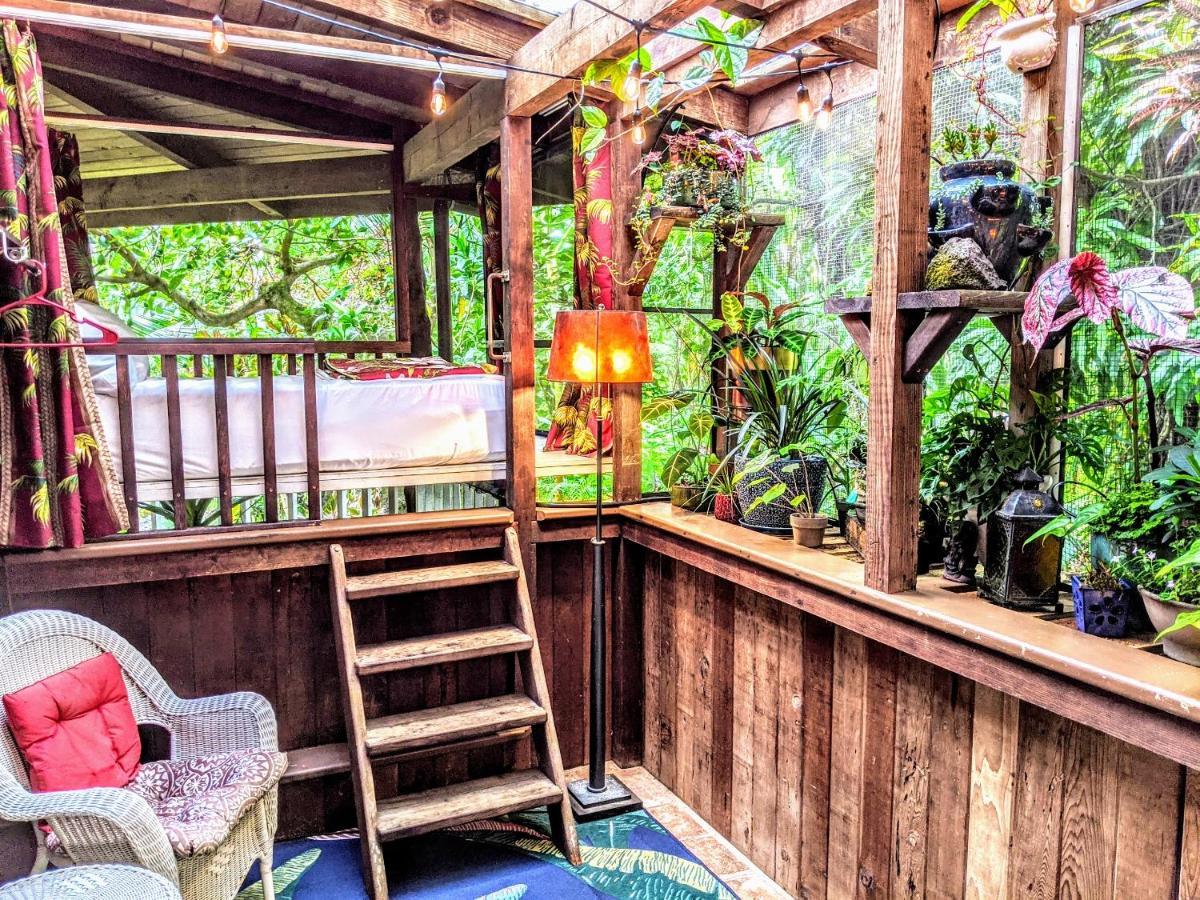 Bed and Breakfast Kehena Mauka Nui Club Lgbtqia+ Clothing Optional Pahoa Zimmer foto