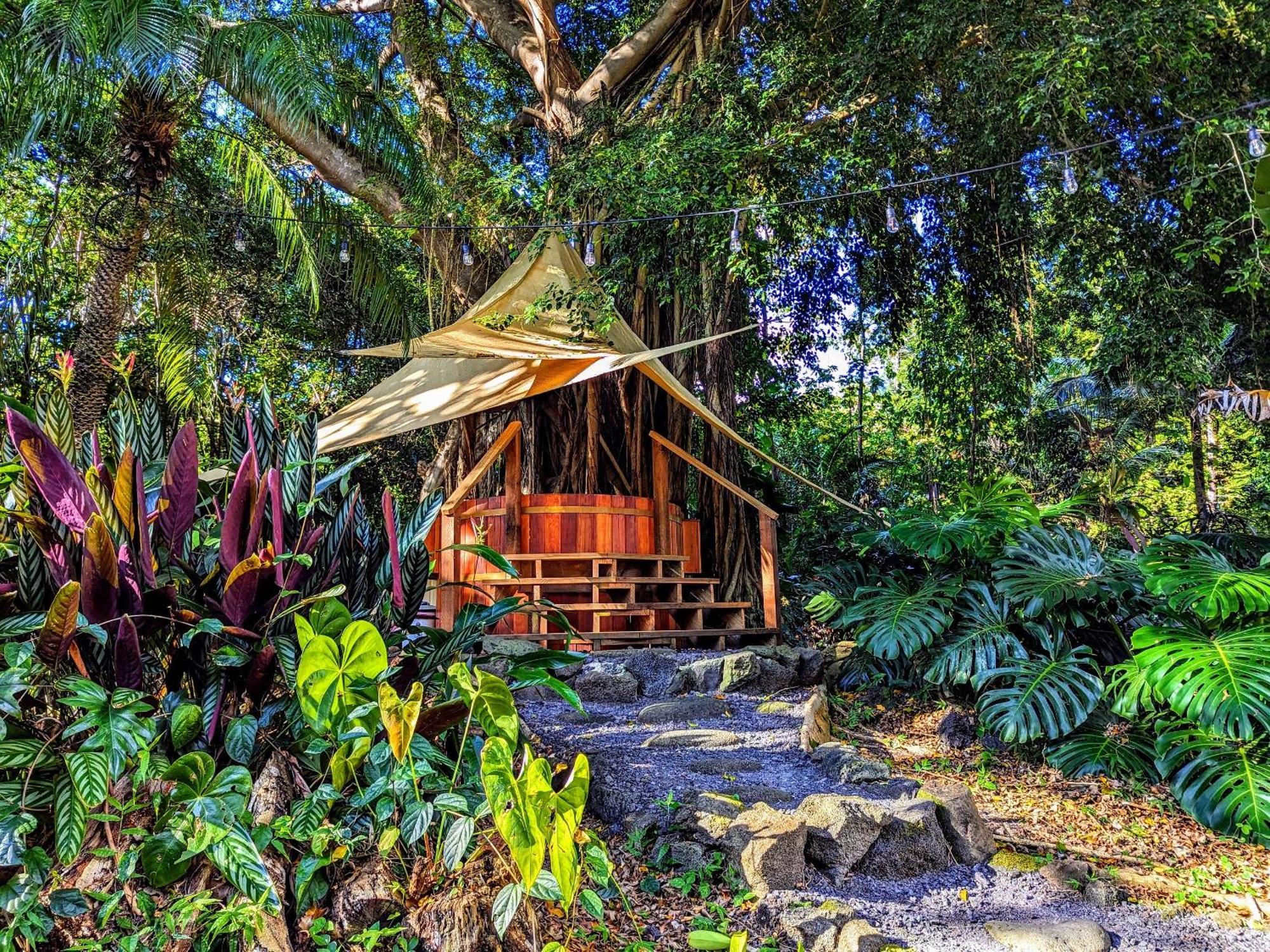 Bed and Breakfast Kehena Mauka Nui Club Lgbtqia+ Clothing Optional Pahoa Exterior foto