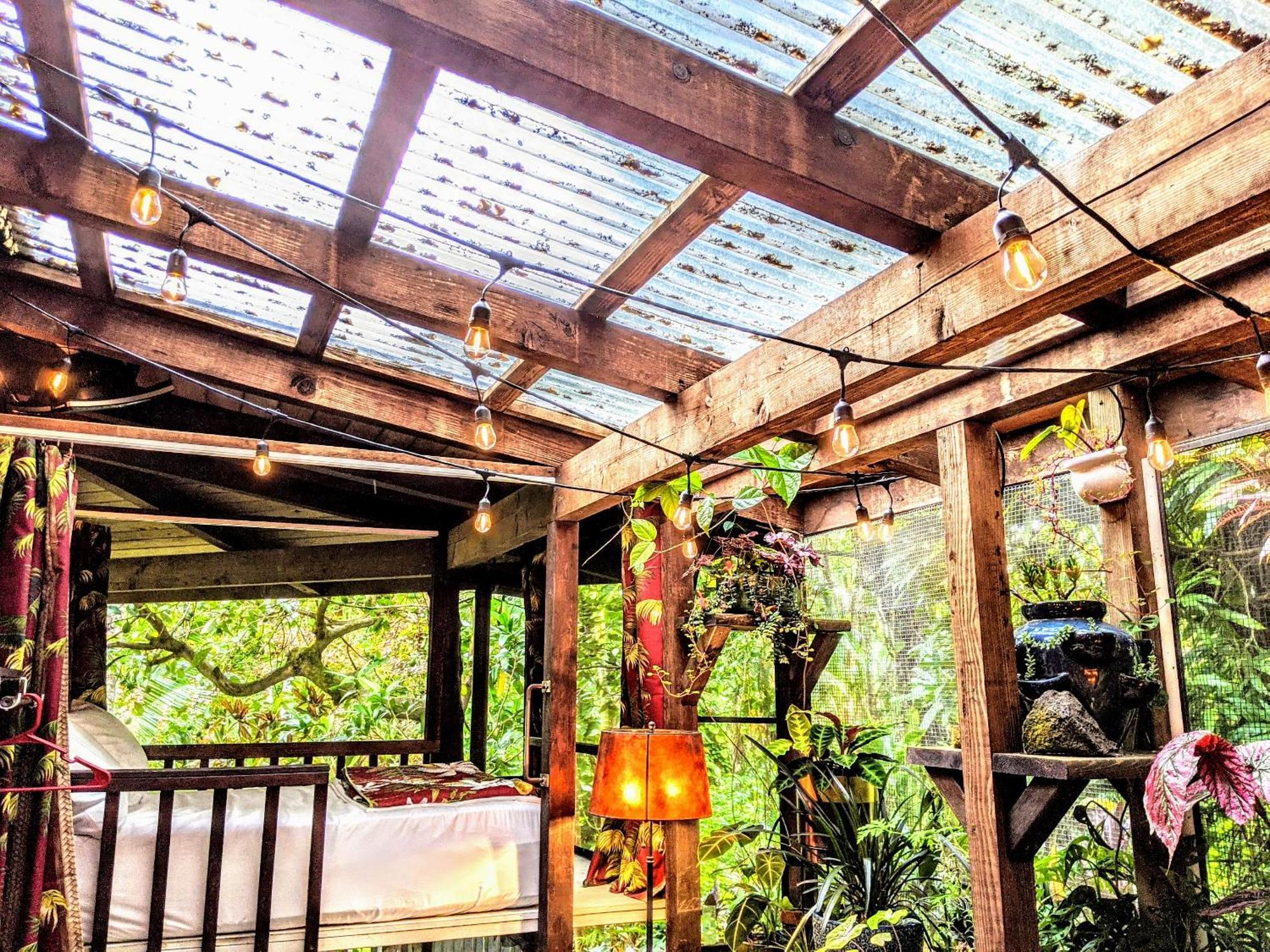 Bed and Breakfast Kehena Mauka Nui Club Lgbtqia+ Clothing Optional Pahoa Zimmer foto