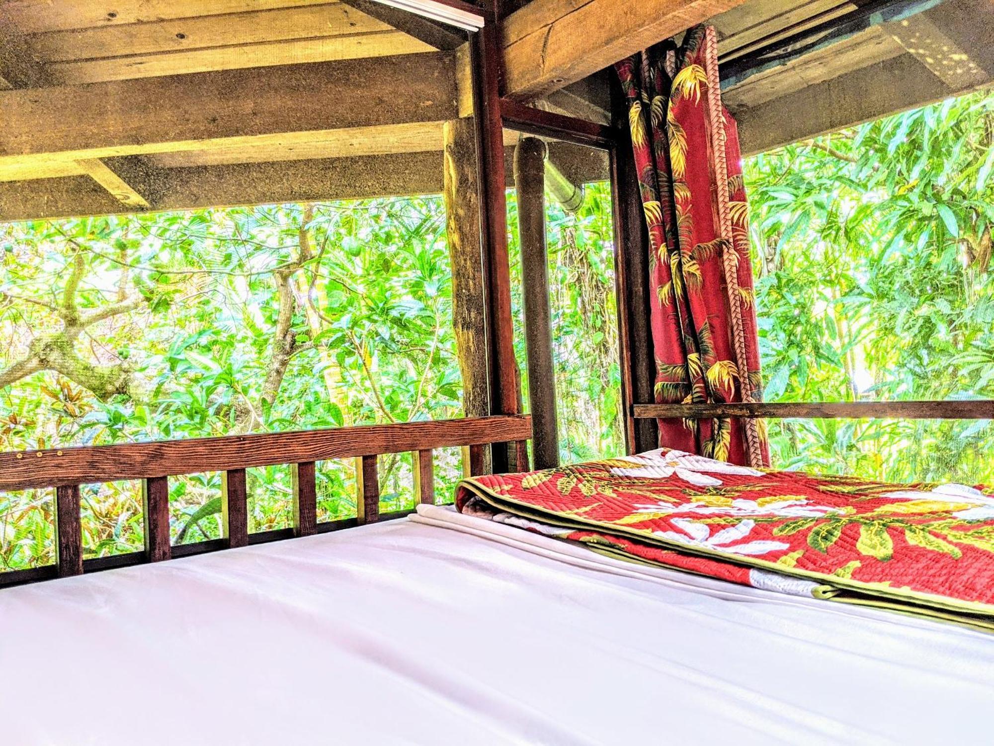Bed and Breakfast Kehena Mauka Nui Club Lgbtqia+ Clothing Optional Pahoa Zimmer foto